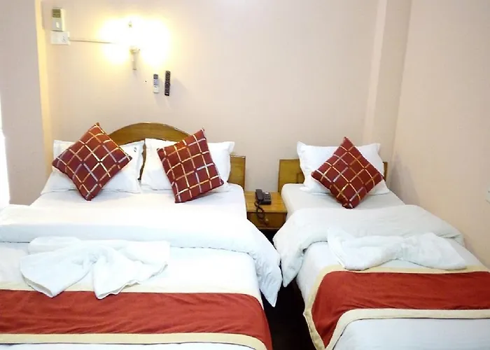 Hotel Festoon