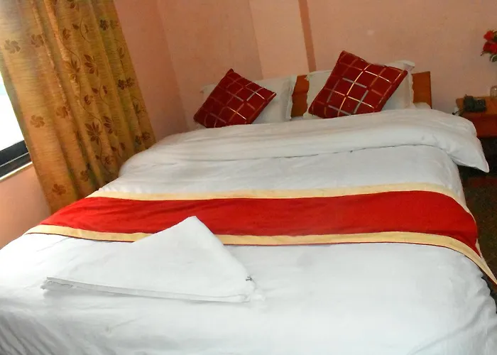 Hotel Festoon