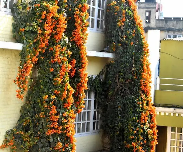 Hotel Festoon 2*