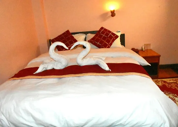 Festoon Hotel
