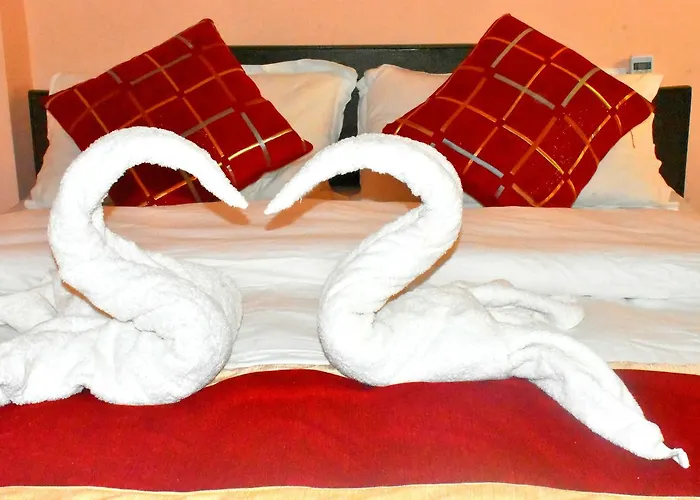 Hotel Festoon 2*