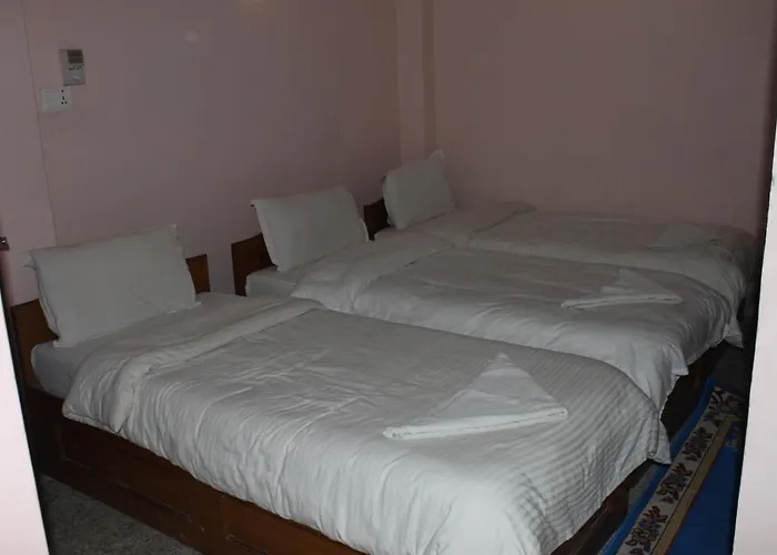 Festoon Hotel 2*