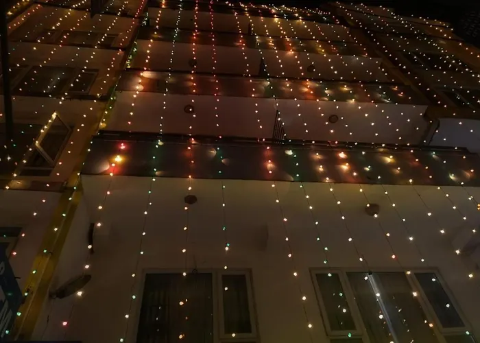 Festoon 2*